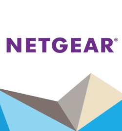 Компания Netgear провела технологический форум для корпоративного сегмента