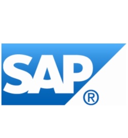 SAP Business One 9.0